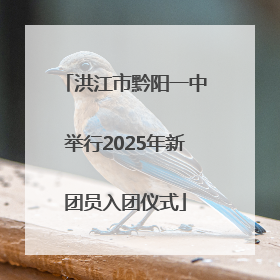 洪江市黔阳一中举行2025年新团员入团仪式