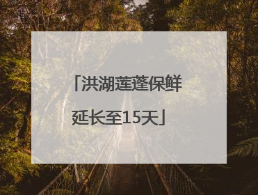 洪湖莲蓬保鲜延长至15天