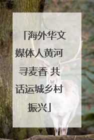 海外华文媒体人黄河寻麦香 共话运城乡村振兴
