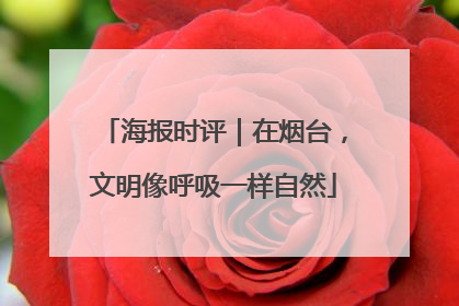 海报时评｜在烟台，文明像呼吸一样自然