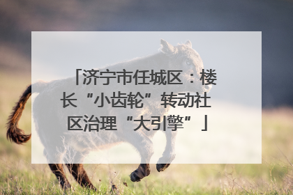 济宁市任城区：楼长“小齿轮”转动社区治理“大引擎”