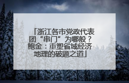 浙江各市党政代表团“串门”为哪般？鲍金：重塑省域经济地理的破题之道