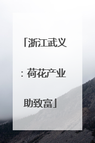 浙江武义：荷花产业助致富