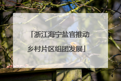 浙江海宁盐官推动乡村片区组团发展
