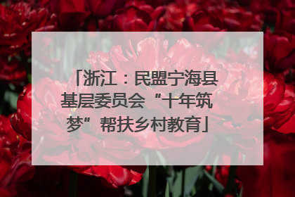 浙江：民盟宁海县基层委员会“十年筑梦”帮扶乡村教育