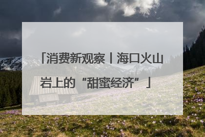 消费新观察丨海口火山岩上的“甜蜜经济”