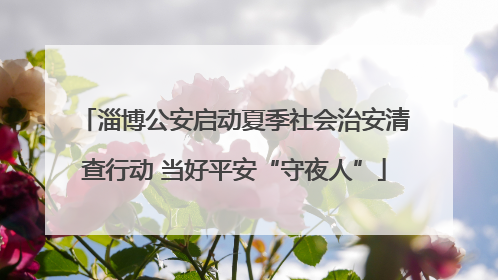 淄博公安启动夏季社会治安清查行动 当好平安“守夜人”