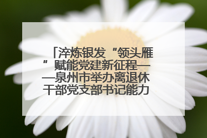 淬炼银发“领头雁”赋能党建新征程——泉州市举办离退休干部党支部书记能力建设专题培训