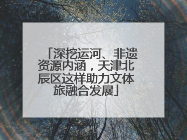 深挖运河、非遗资源内涵，天津北辰区这样助力文体旅融合发展