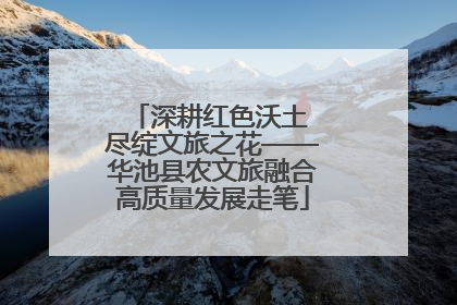 深耕红色沃土 尽绽文旅之花——华池县农文旅融合高质量发展走笔