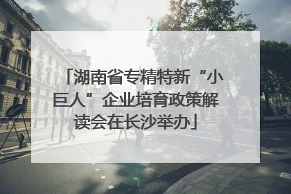 湖南省专精特新“小巨人”企业培育政策解读会在长沙举办