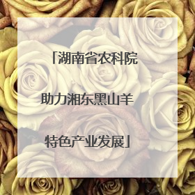 湖南省农科院助力湘东黑山羊特色产业发展