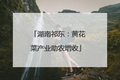 湖南祁东：黄花菜产业助农增收