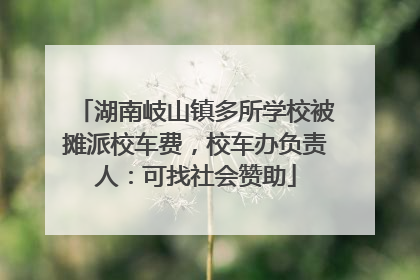 湖南岐山镇多所学校被摊派校车费，校车办负责人：可找社会赞助
