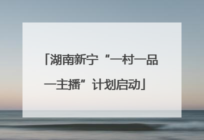 湖南新宁“一村一品一主播”计划启动