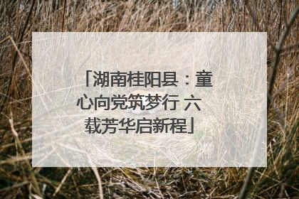 湖南桂阳县：童心向党筑梦行 六载芳华启新程