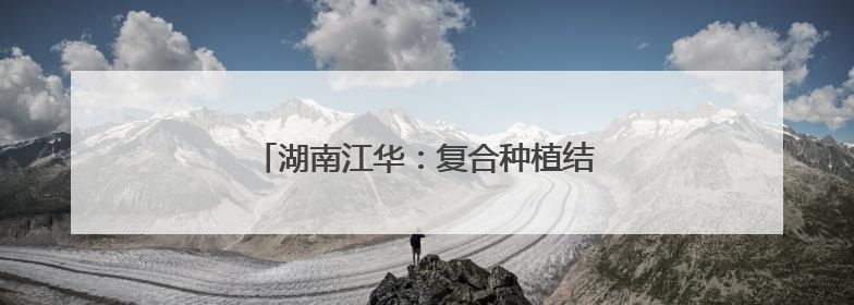 湖南江华：复合种植结硕果 龙头兜底助增收