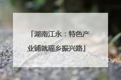 湖南江永：特色产业铺就瑶乡振兴路