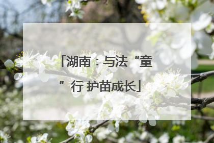 湖南：与法“童”行 护苗成长