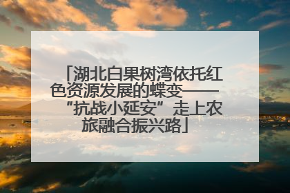 湖北白果树湾依托红色资源发展的蝶变——“抗战小延安”走上农旅融合振兴路