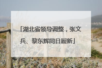 湖北省领导调整，张文兵、黎东辉同日履新
