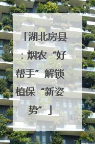湖北房县：烟农“好帮手”解锁植保“新姿势”