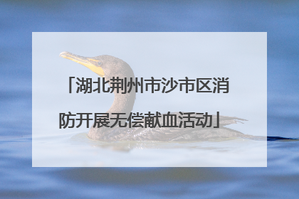 湖北荆州市沙市区消防开展无偿献血活动
