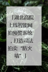 湖北高院上线智能网拍预警系统，打造司法拍卖“防火墙”