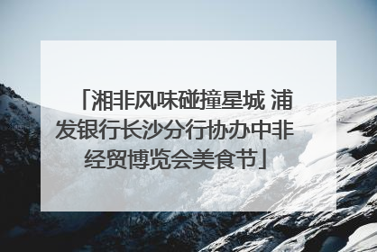 湘非风味碰撞星城 浦发银行长沙分行协办中非经贸博览会美食节