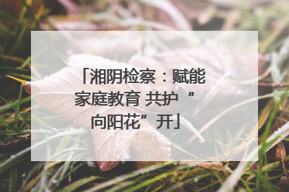 湘阴检察：赋能家庭教育 共护“向阳花”开