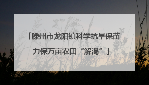 滕州市龙阳镇科学抗旱保苗 力保万亩农田“解渴”