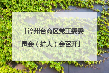 漳州台商区党工委委员会（扩大）会召开
