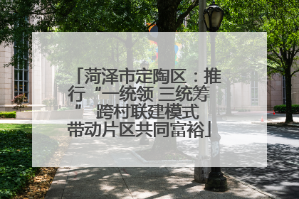 菏泽市定陶区：推行“一统领 三统筹” 跨村联建模式 带动片区共同富裕