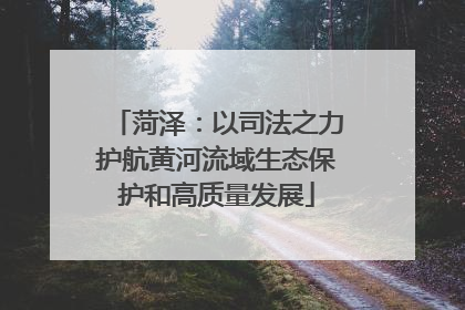 菏泽：以司法之力护航黄河流域生态保护和高质量发展