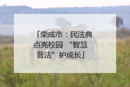 荣成市：民法典点亮校园 “智慧普法”护成长