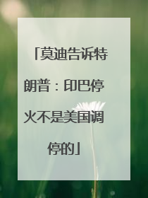 莫迪告诉特朗普：印巴停火不是美国调停的