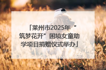 莱州市2025年“筑梦花开”困境女童助学项目捐赠仪式举办