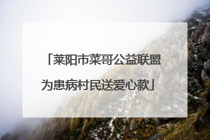 莱阳市菜哥公益联盟为患病村民送爱心款