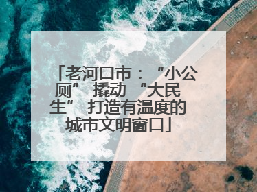 老河口市：“小公厕” 撬动 “大民生” 打造有温度的城市文明窗口