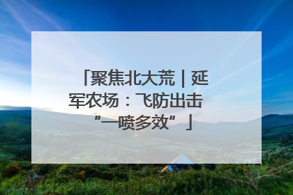 聚焦北大荒｜延军农场：飞防出击 “一喷多效”