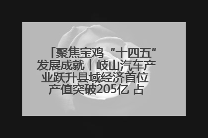 聚焦宝鸡“十四五”发展成就丨岐山汽车产业跃升县域经济首位 产值突破205亿 占规上工业75%
