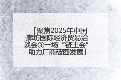 聚焦2025年中国·廊坊国际经济贸易洽谈会③一场“链主会” 助力厂商破圈发展