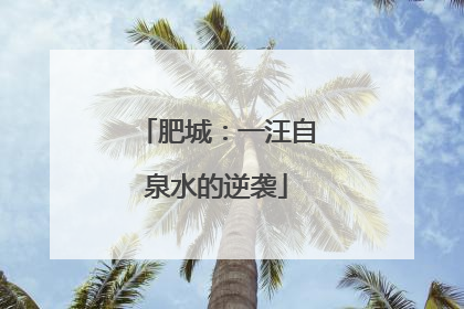 肥城：一汪自泉水的逆袭