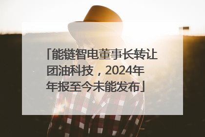 能链智电董事长转让团油科技，2024年年报至今未能发布