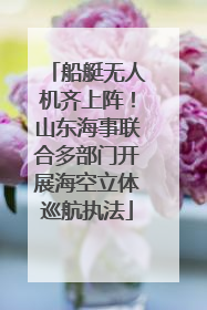 船艇无人机齐上阵！山东海事联合多部门开展海空立体巡航执法