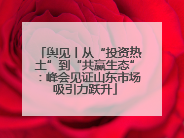 舆见丨从“投资热土”到“共赢生态”：峰会见证山东市场吸引力跃升