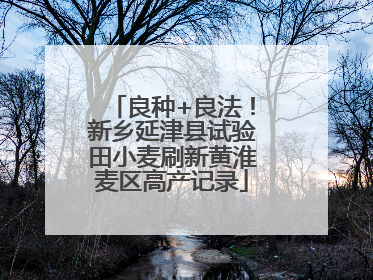 良种+良法！新乡延津县试验田小麦刷新黄淮麦区高产记录