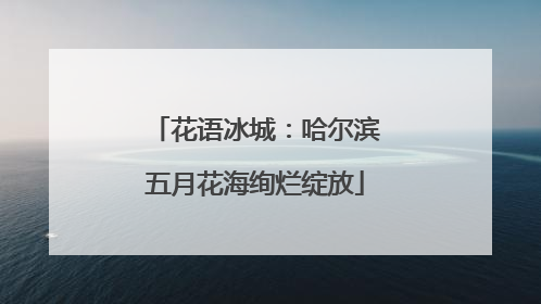 花语冰城：哈尔滨五月花海绚烂绽放