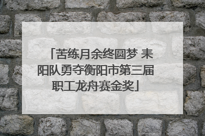 苦练月余终圆梦 耒阳队勇夺衡阳市第三届职工龙舟赛金奖
