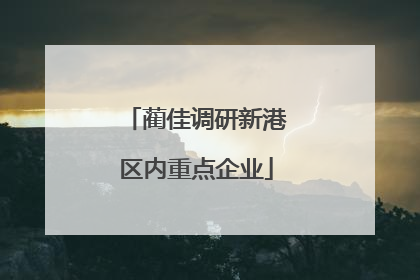 蔺佳调研新港区内重点企业